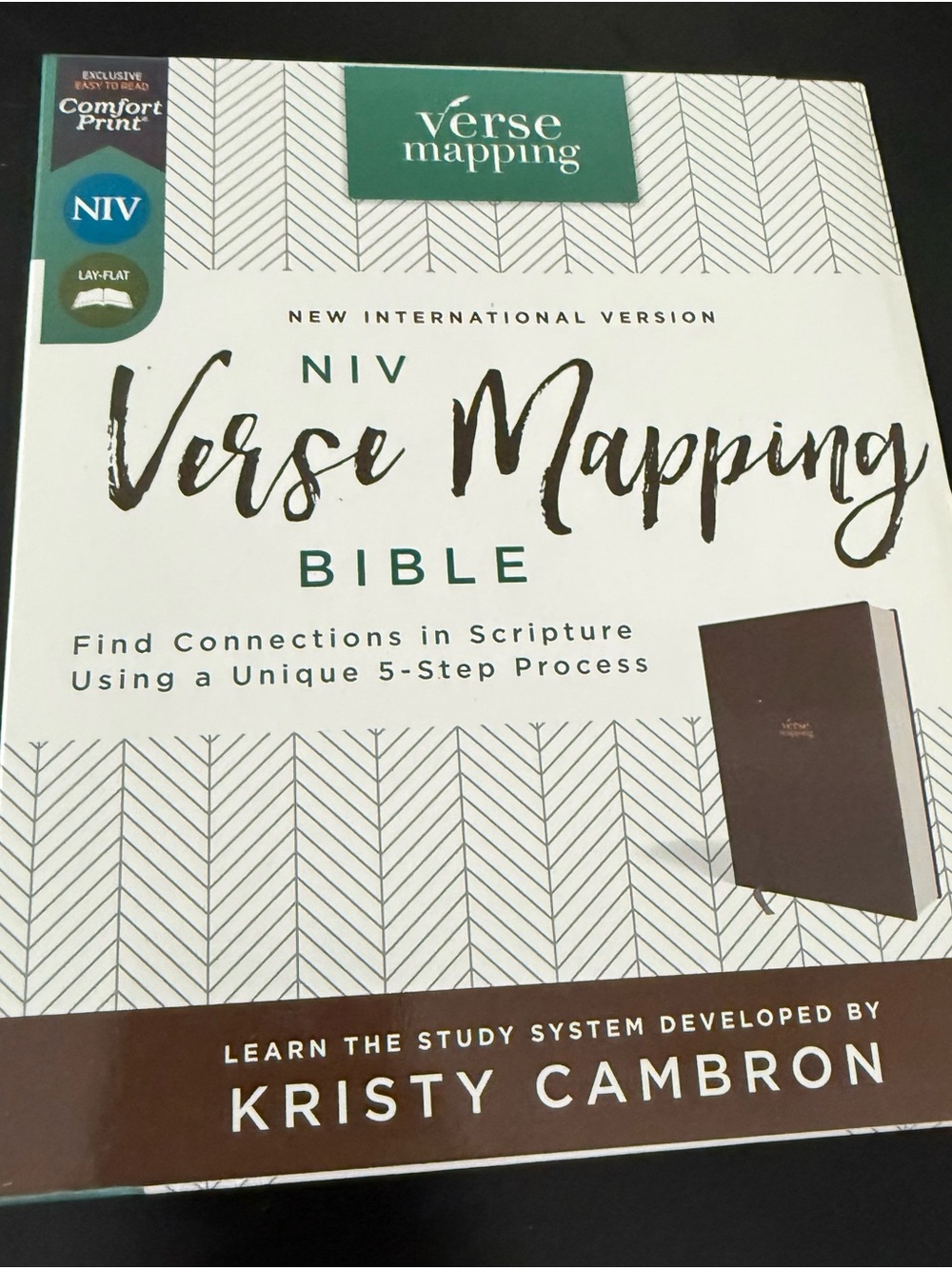 NIV Verse Mapping Bible by Kristy Cambron - White & Teal Cover